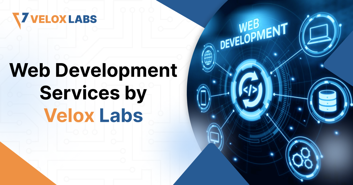 Web Development Services by Velox Labs