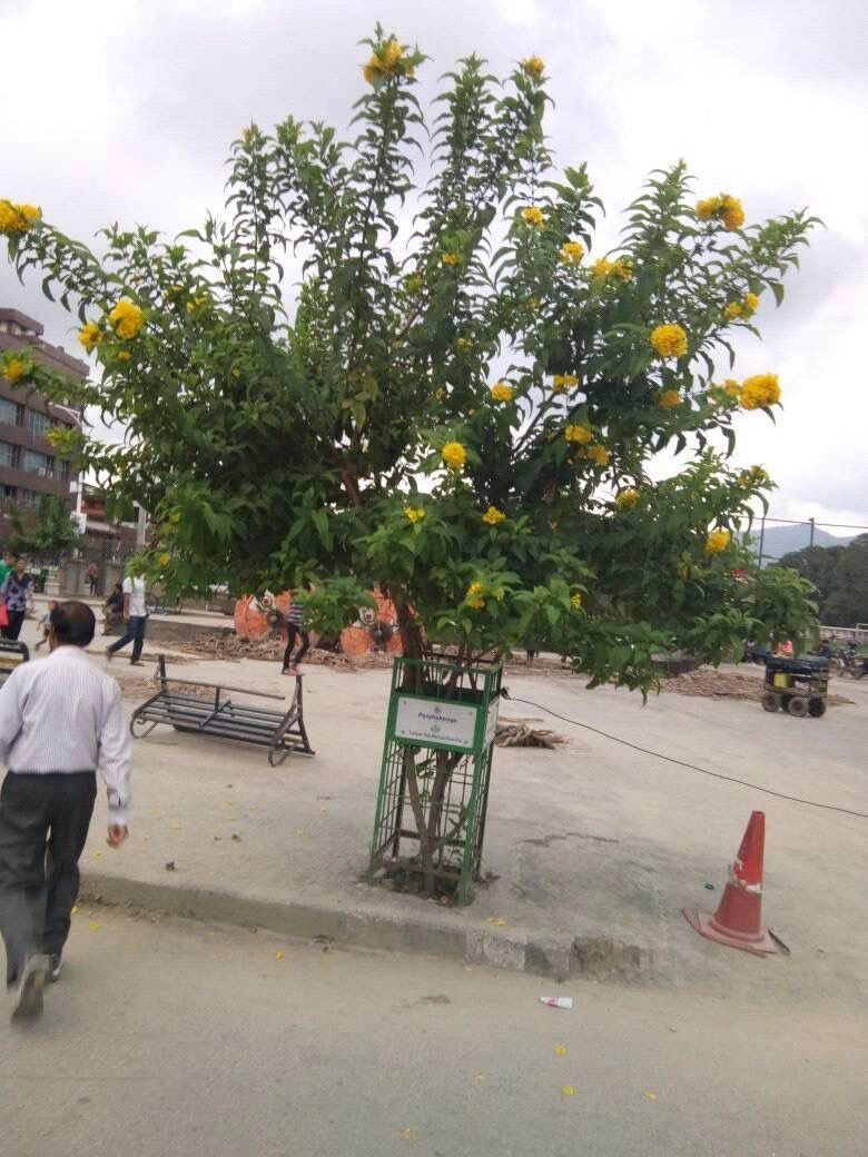 PHOTO-2024-09-30-21-04-10